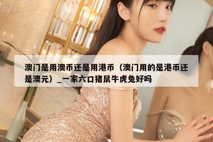 澳门是用澳币还是用港币（澳门用的是港币还是澳元）_新澳门六开彩资料大全网址